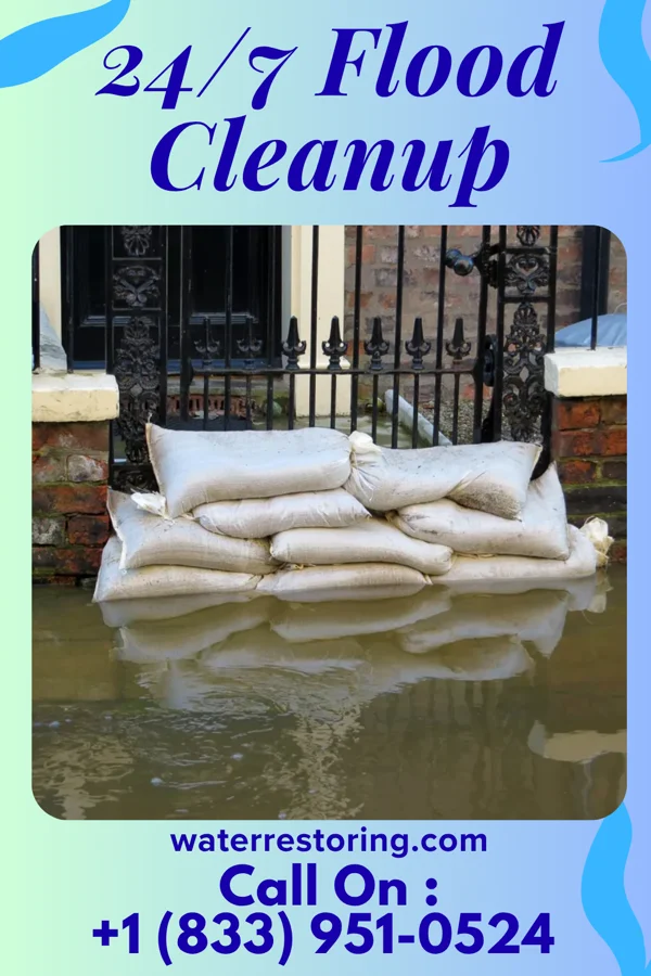 24/7 Flood Cleanup in Newark, TX