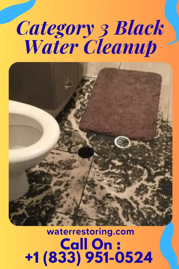 Category 3 Black Water Cleanup in Newark, TX