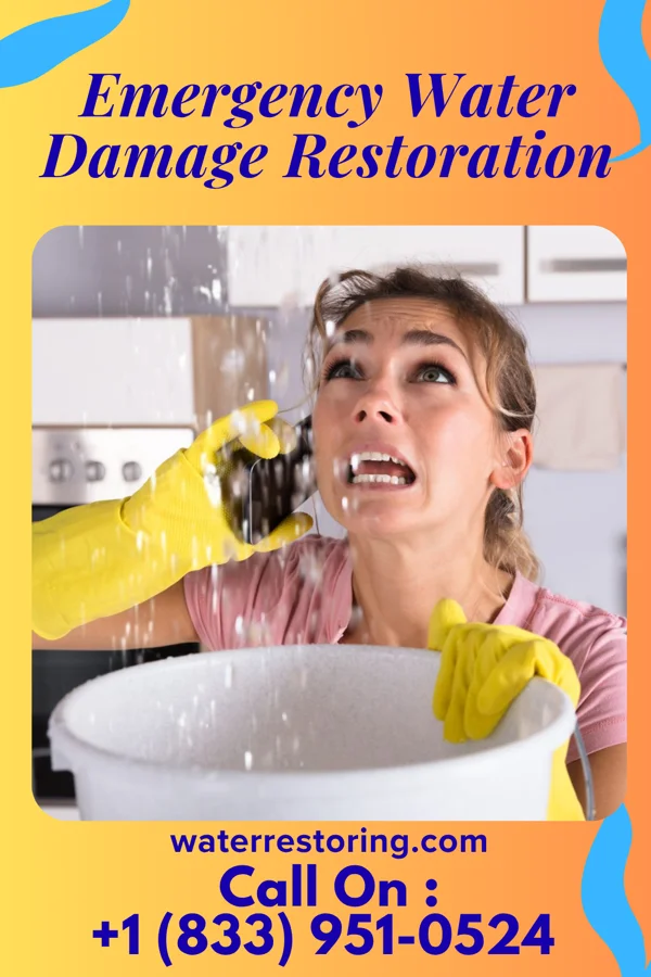 Emergency Water Damage Restoration in Newark, TX