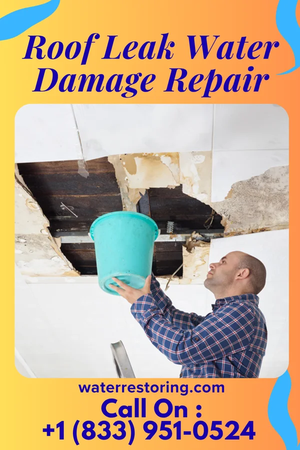 Roof Leak Water Damage Repair in Newark, TX